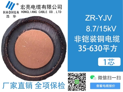 ZRYJV 8.7/15kV 1芯
