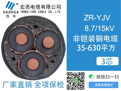 ZRYJV 8.7/15kV 3芯