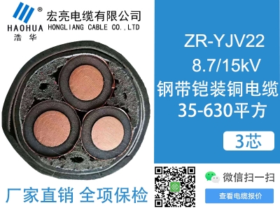 ZRYJV22 8.7/15kV 3芯