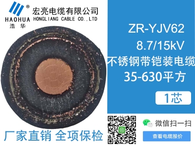 ZRYJV62 8.7/15kV 1芯