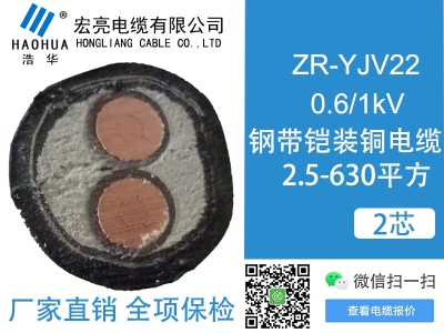 低压电缆ZRYJV22 2芯