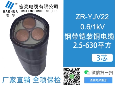 低压电缆ZRYJV22 3芯