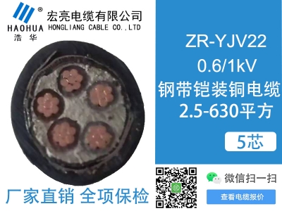 低压电缆ZRYJV22 5芯