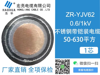 低压电缆ZRYJV62 1芯
