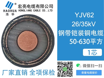 ZRYJV62 26/35kV 1芯