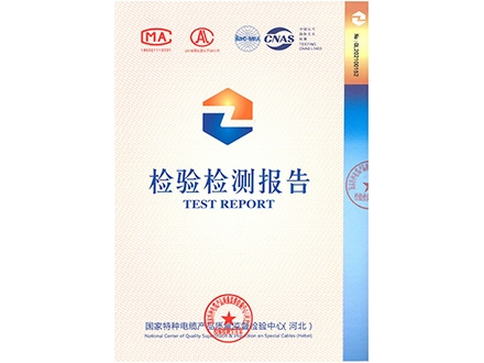 WDZAN-YJY23-0.6∕1kV-4×400+1×240型式试验报告